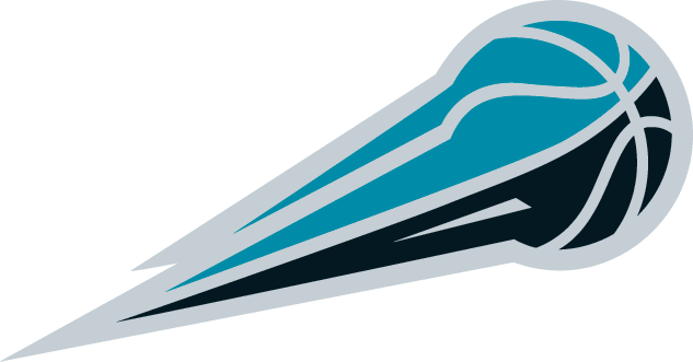 Sioux Falls Skyforce 2006-2012 Partial Logo iron on heat transfer
